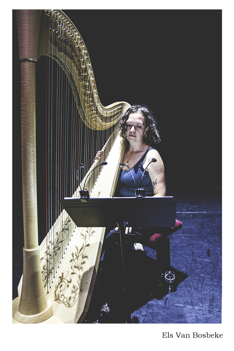 Ensor, muzikaal gesproken